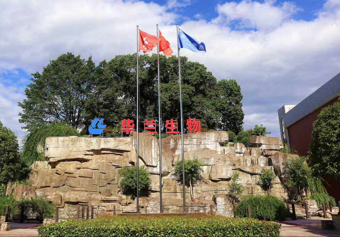 NG南宫电子游戏- 相信品牌的力量